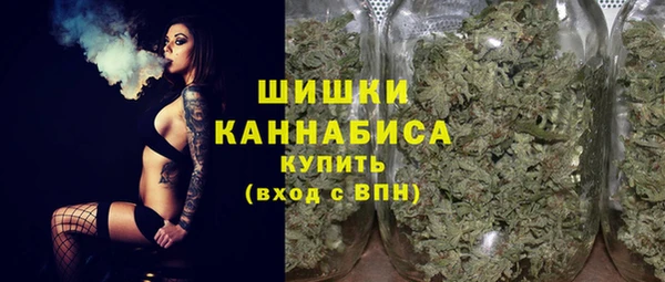 амф Липки